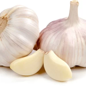 Garlic