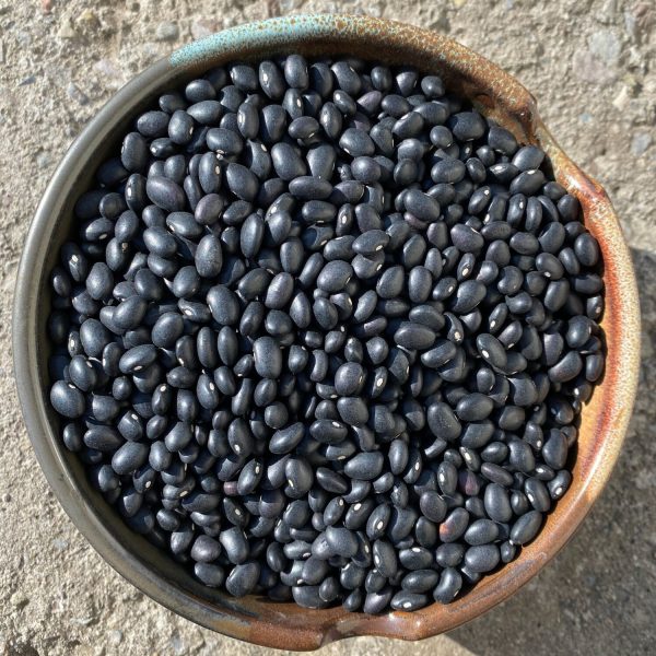Black Beans