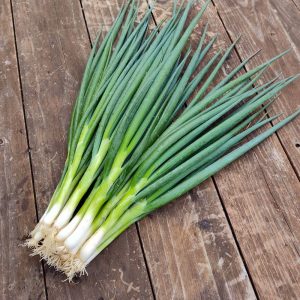Green Onion