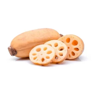 Lotus Root